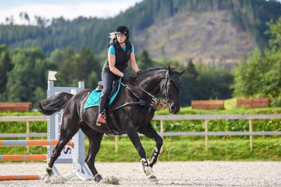 Rytter i sprangbane på en svart hest med anatomisk bitt